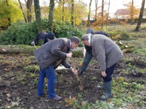 planter pour ameliorer la biodiversité